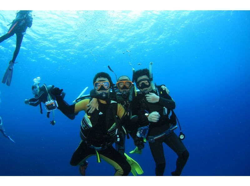 [ชิซูโอกะ/Izu Ocean Park] จำกัด เฉพาะผู้เข้าชมครั้งแรก! Privilege Diving (2 ชายหาด)の紹介画像