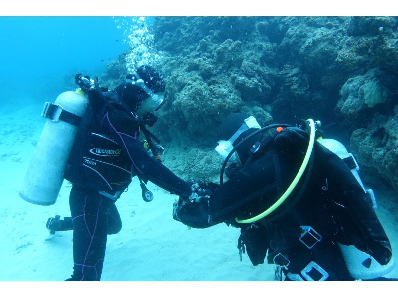 【沖縄・石垣島】ライセンス取り立てファンダイビング※レンタル込みの紹介画像