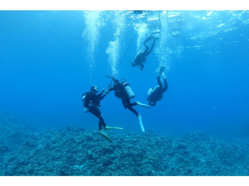 【沖縄・石垣島】ライセンス取り立てファンダイビング※レンタル込みの紹介画像