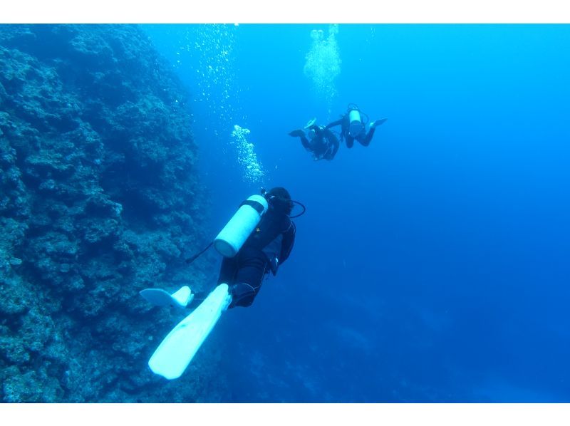 【沖縄・石垣島】ライセンス取り立てファンダイビング※レンタル込みの紹介画像