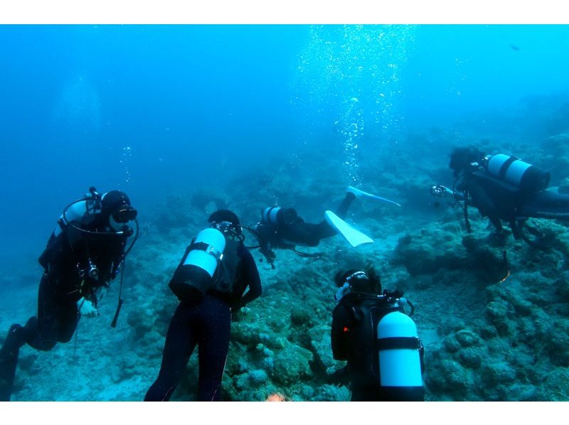 【沖縄・石垣島】ライセンス取り立てファンダイビング※レンタル込みの紹介画像