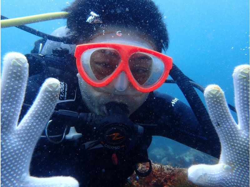 [Shizuoka Izu Marine Park] Open Water Diver Course (diving license)の紹介画像