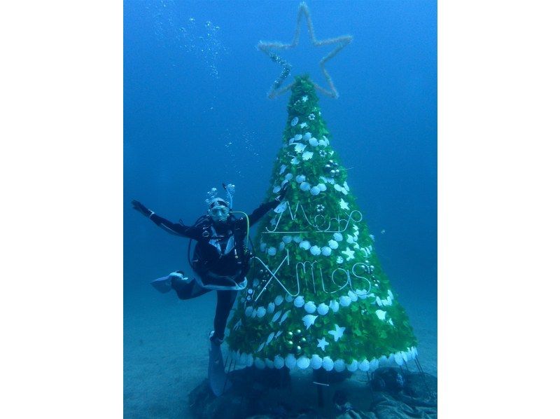 [Shizuoka Izu Marine Park] Open Water Diver Course (diving license)の紹介画像