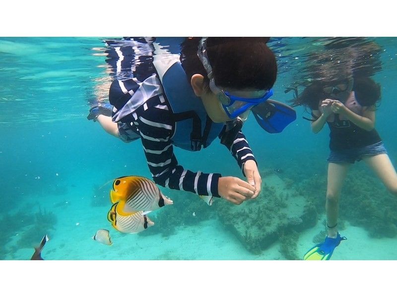 [Okinawa Motobu Town] 1 group is fully reserved! Even small children and those who are not good at swimming are OK! Northern Okinawa Island Beach Snorkelの紹介画像