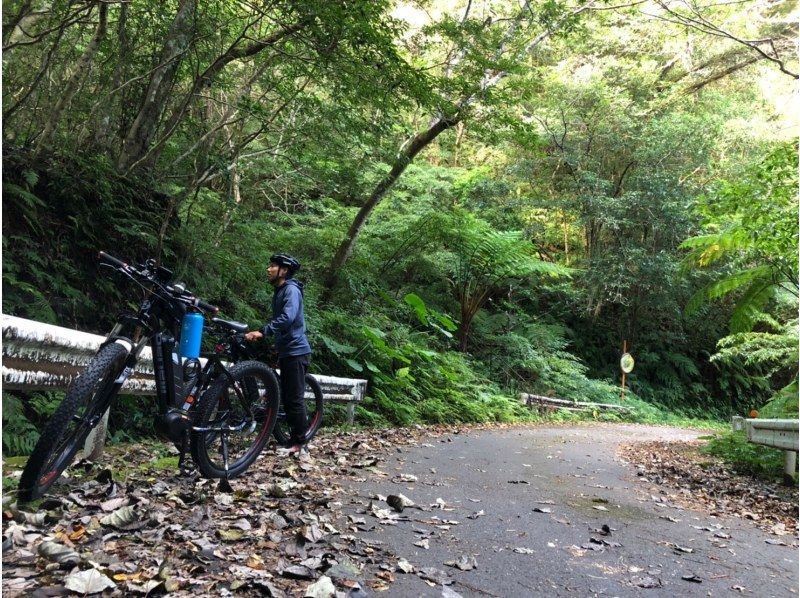 【奄美大島】最新のe-bikeで奄美の自然を満喫！e-bikeで行く水と緑の森ツアー！の紹介画像