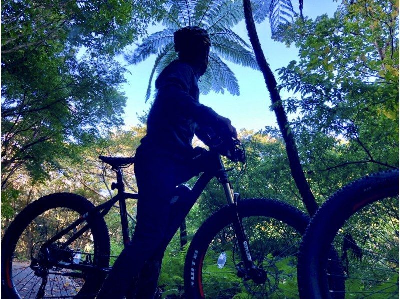 【奄美大島】話題のe-bikeとマングローブを両方楽しむ1日ツアー！EMTBとマングローブカヌーツアーの紹介画像