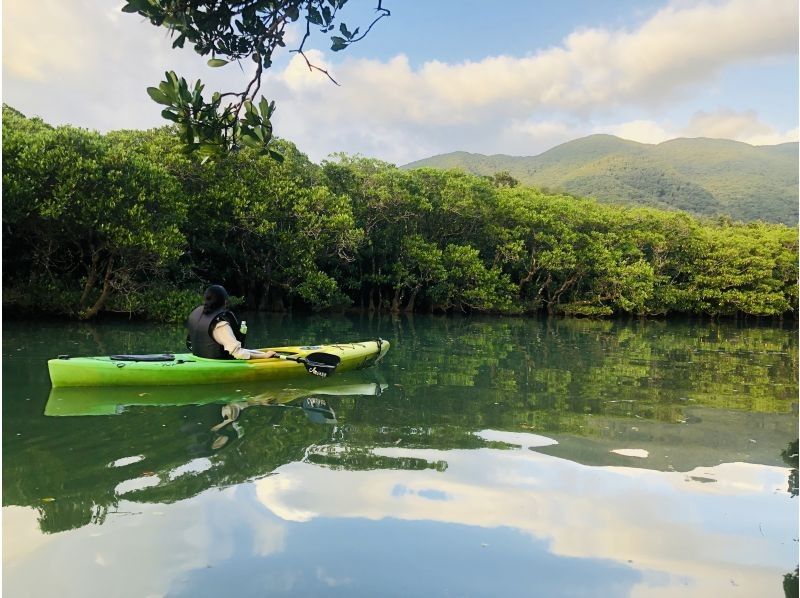 [Amami Oshima] One day tour to enjoy both popular e-bikes and mangroves! EMTB and Mangrove Canoe Tourの紹介画像