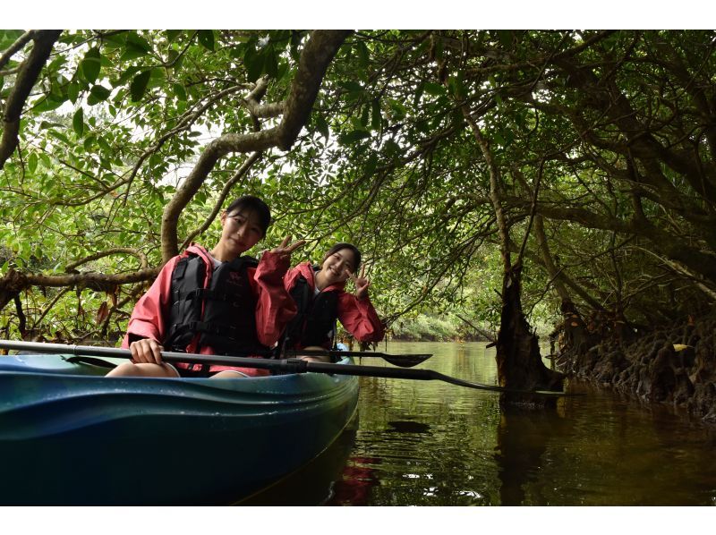 【沖縄・名護】＜1組限定貸切＞秘密の川でマングローブカヤックツアー｜神秘の亜熱帯ジャングルで癒し体験♪の紹介画像