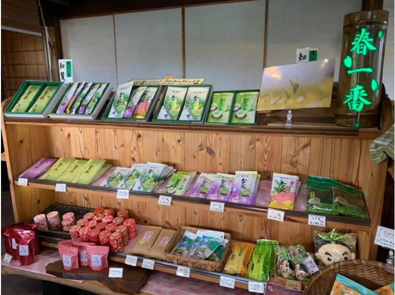 【鹿児島】鹿児島で茶摘み体験の紹介画像