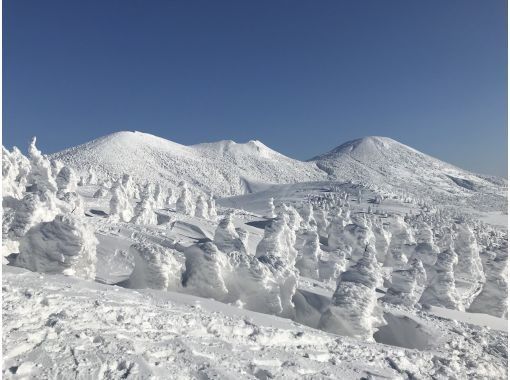 【青森・八甲田】「手ぶらで」八甲田樹氷スノーシューツアー 【青森・八甲田】「手ぶらで」八甲田樹氷スノーシューツアー