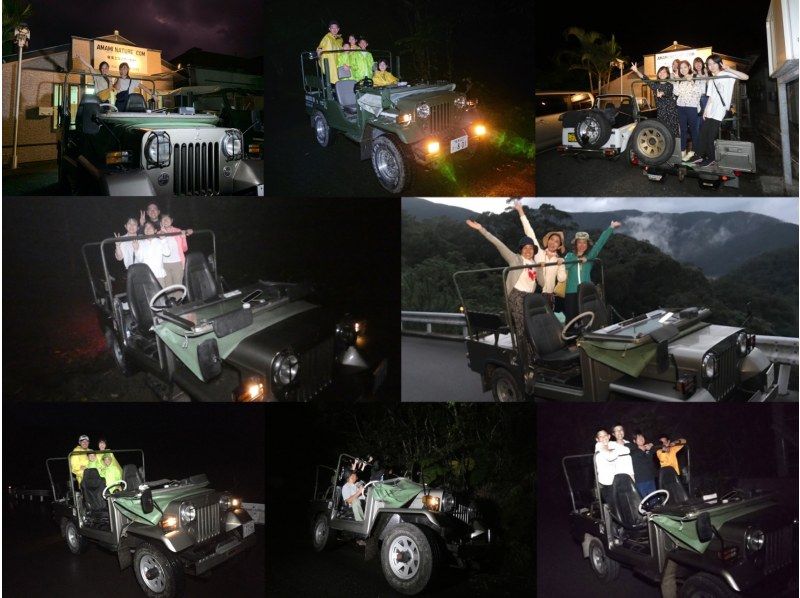 [Kagoshima/Amami Oshima] Let's go find a night safari tour, a small group 4WD jeep, and Amami rabbits!の紹介画像