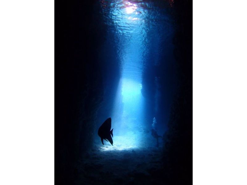 [讀谷沖繩恩納前田]神秘流暢藍色的絕景的洞穴潛水經驗の紹介画像