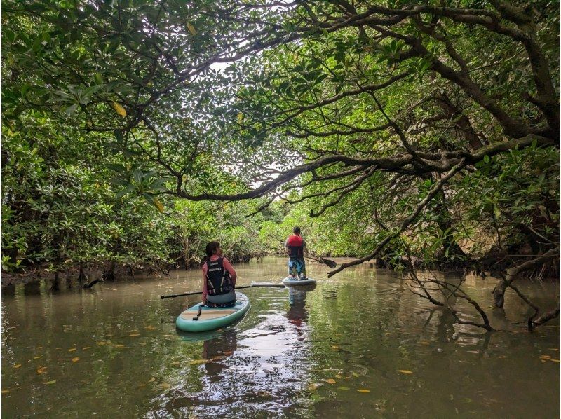 【期間限定スーパーセール【沖縄・石垣島】SUP2時間ツアー！ホテル送迎OK!当日直前予約OK!写真・動画プレゼント!3歳からでも参加出来ますの紹介画像