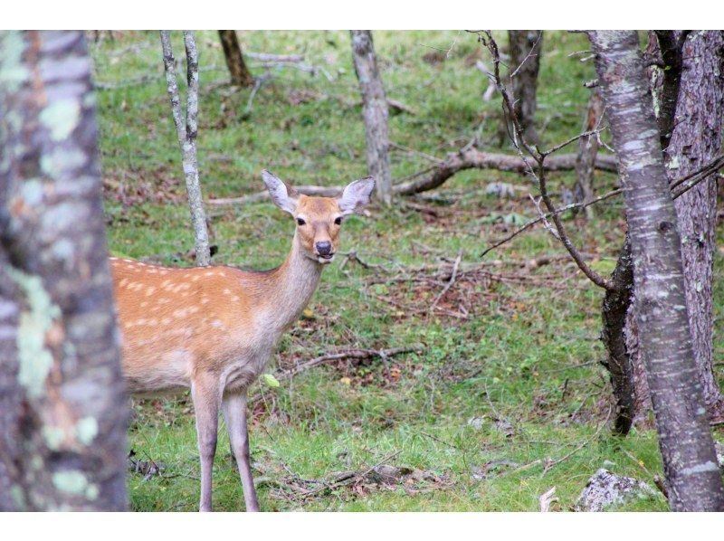 【山梨県】奇岩登りを楽しむ！乾徳山ガイドツアー(中級者向け) ～やまDeluxe～の紹介画像