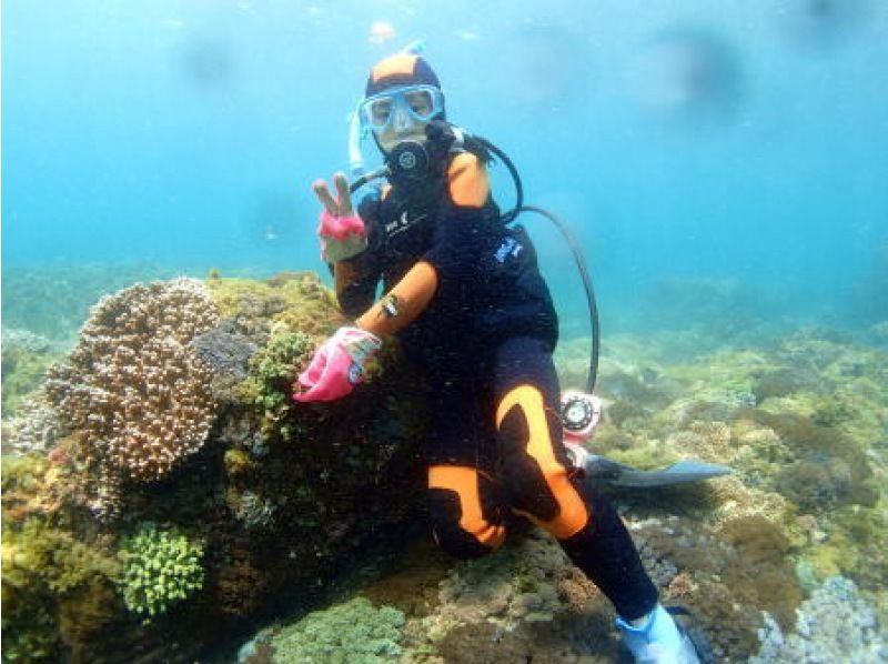 [South country Miyazaki ・ Nichinan Kaigan] Tri Scover (experience Diving) [Participant with one piece of swimsuit OK! ]の紹介画像