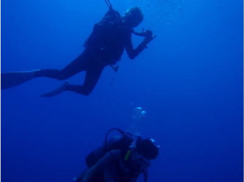 [South country Miyazaki ・ Nichinan Kaigan] Tri Scover (experience Diving) [Participant with one piece of swimsuit OK! ]の紹介画像