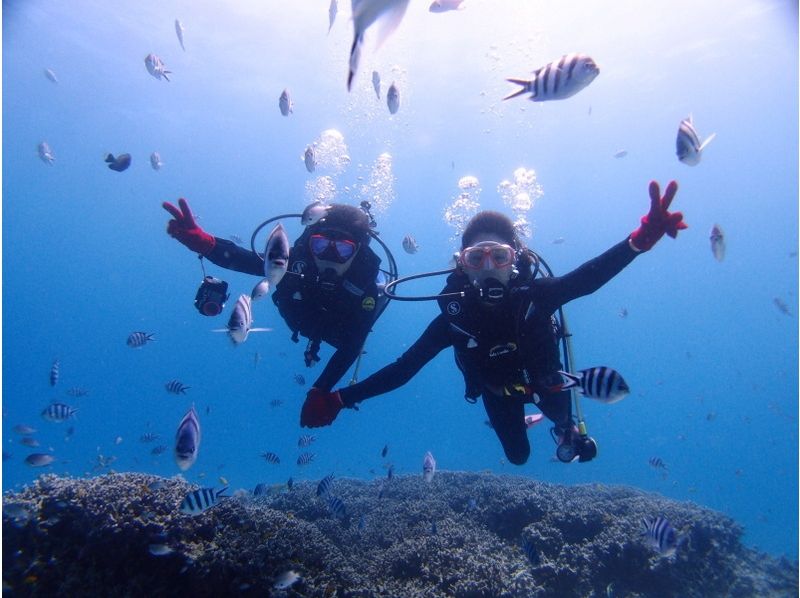 【 冲绳 Yomitani Onna Hiroda】享受冲绳的自然乐趣深潜 （1潜水）有限许可证持有人の紹介画像