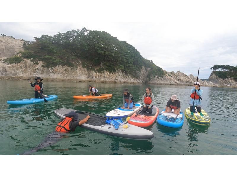 岩手県宮古市　極楽浄土SUP浄土ヶ浜　SUP体験〜初心者から上級者まで対応　お子様も一緒に親子SUP可。綺麗で透明度の高い海をクルージングの紹介画像