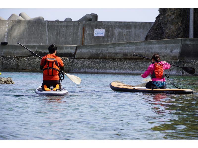 岩手県宮古市　極楽浄土SUP浄土ヶ浜　SUP体験〜初心者から上級者まで対応　お子様も一緒に親子SUP可。綺麗で透明度の高い海をクルージングの紹介画像