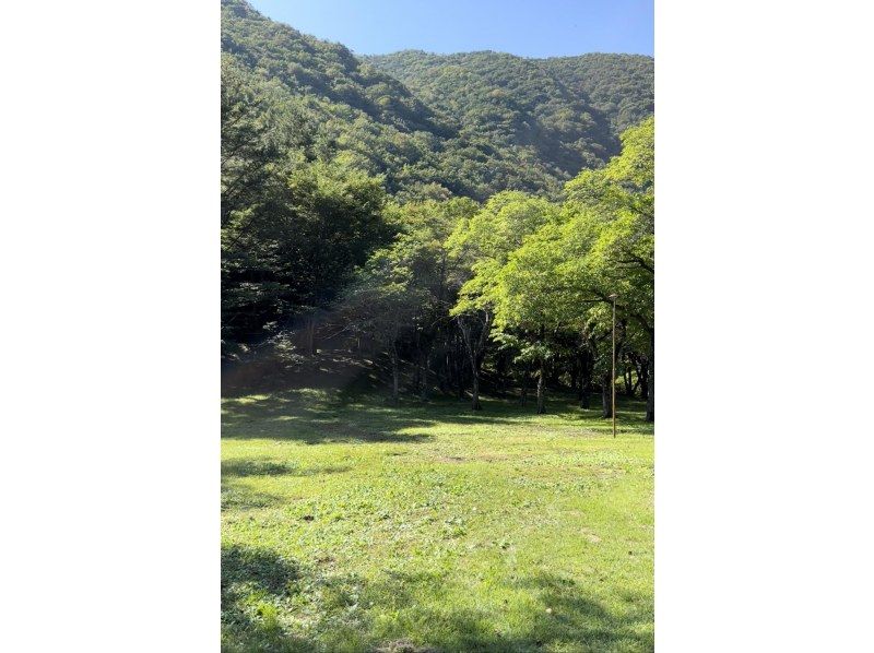[Iwaizumi Town, Iwate Prefecture] If you enjoy camping at a free site, Ryusendo Travel Village! The closest campsite to Ryusendo Cave, one of Japan's three largest limestone caves. Enjoy bushcraft!の紹介画像