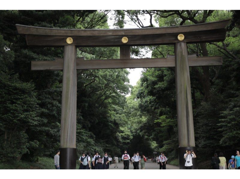 【Tokyo】City tour-Imperial Palace, Meiji Jingu, Aoyama Walkの紹介画像