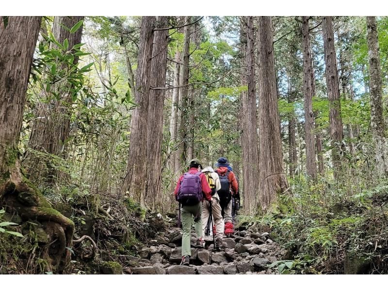 【Kanagawa・Hakone】Hakone Mt. Kintoki and Sengokuhara trekking tourの紹介画像