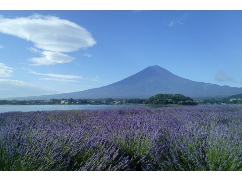 [Tokyo] Mt. Fuji Fifth Station and Lake Kawaguchi Day Tourの紹介画像