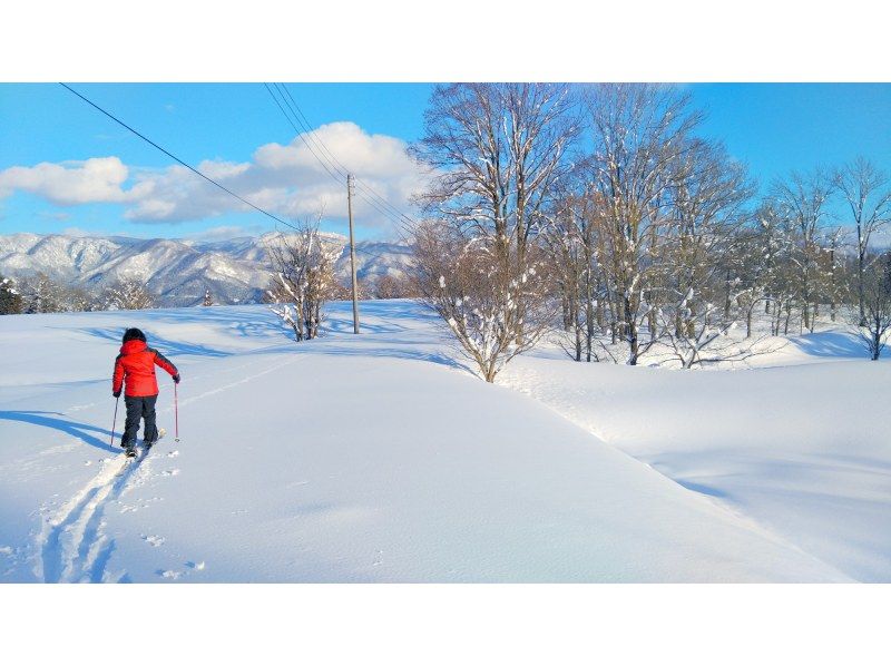 【長野・飯山】午後からゆっくり初めての雪上散歩　信濃平駅から徒歩10分の針湖池周辺でスノーシューorネイチャースキー　プライベートツアー