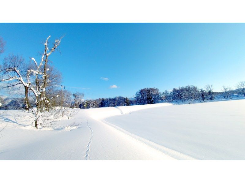 【長野・飯山】午後からゆっくり初めての雪上散歩　信濃平駅から徒歩10分の針湖池周辺でスノーシューorネイチャースキー　プライベートツアー