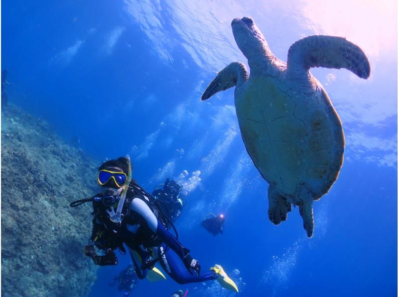 沖繩5個推薦潛水地點及初學者旅遊團人氣排名