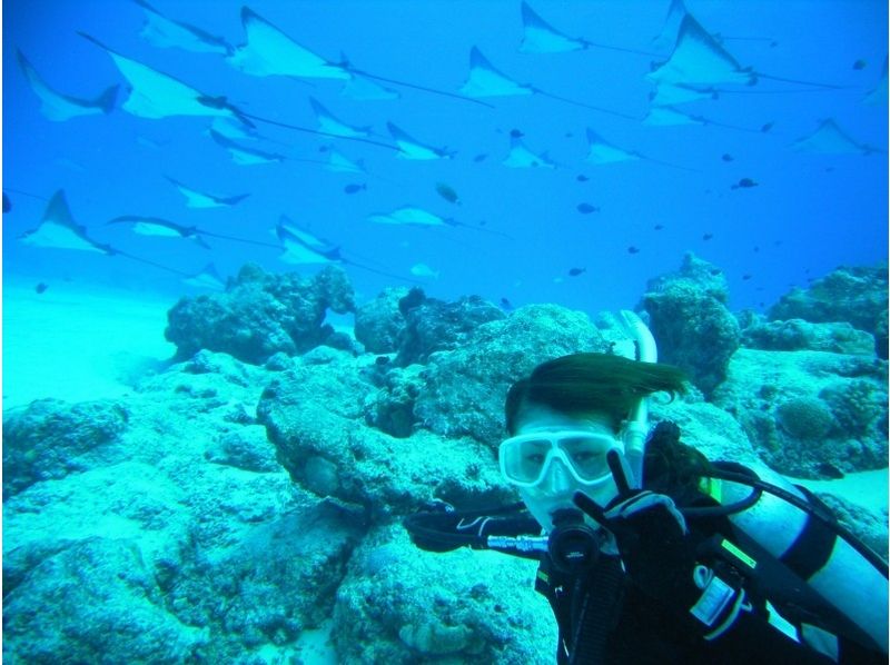 【 横滨 】在浮潜课程深潜第一次体验！ [推荐第一次体验♪♪]の紹介画像