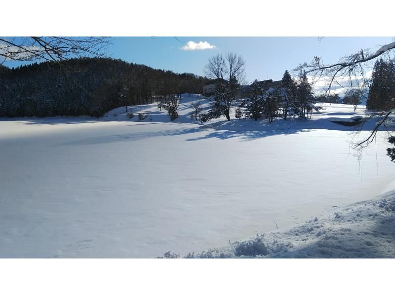 【長野・飯山】北竜湖で 選べるアクティビティ　プライベートでスノーシューorネイチャースキー体験　およそ2.5kmのんびり3時間の紹介画像