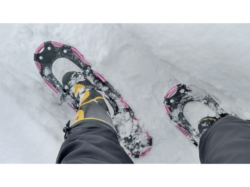 【長野・飯山】幻想的な、月明りのスノーシュー体験　千曲川河川敷ムーンライトトリップ２時間（4月はなべくら高原）の紹介画像