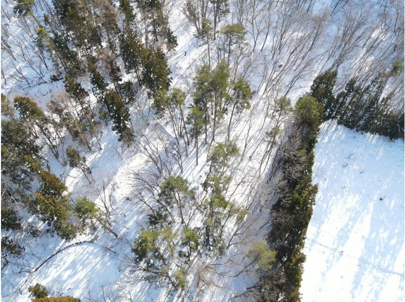 【長野・中野】3時間のプライベートショートツアー　牧の入アーチェリーフィルドコースをスノーシューで歩く　林の中のスノーシュー体験の紹介画像
