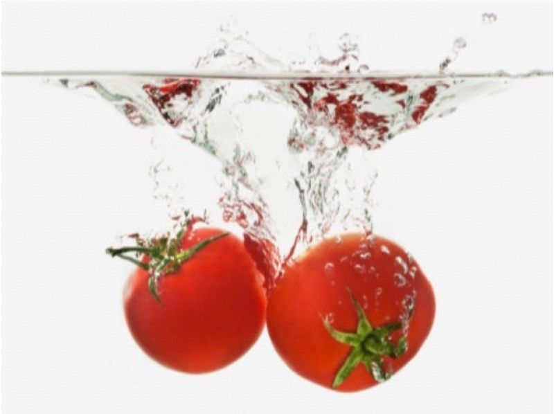【兵庫・姫路】八百ちゃんトマトの収穫体験＠網干造船所ハウス｜酸味・甘味・旨味のバランスのとれた栄養価の高いトマトです♪｜の紹介画像