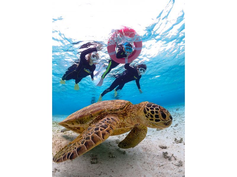 [โอกินาว่า/มิยาโกจิม่า] เต่าทะเลดำน้ำดูปะการัง- ร้านค้าพิเศษเข้าชายหาด 1 ระบบเช่าเหมาลำกลุ่ม! แนะนำสำหรับผู้หญิง ครอบครัว และคู่รัก!の紹介画像