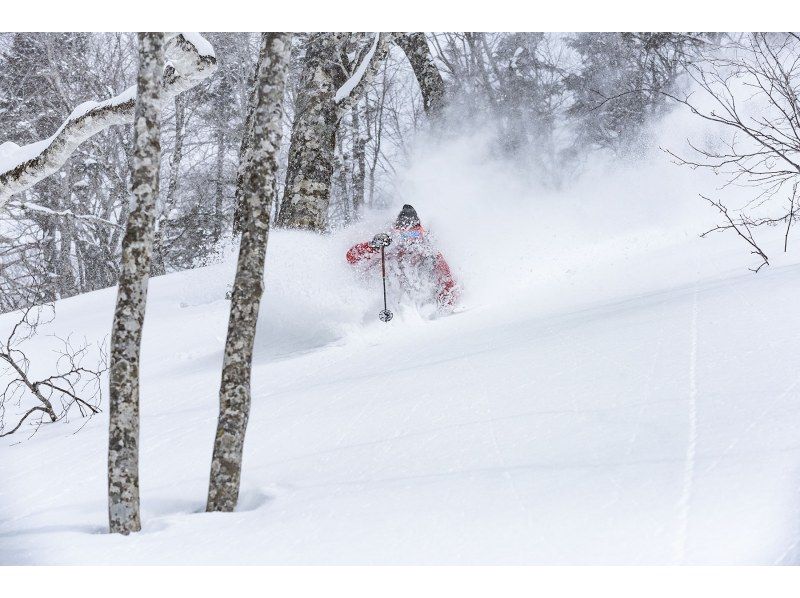 野外滑雪者在新雪上滑雪事故责任费用粉雪