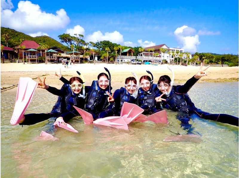 【奄美大島・送迎無料】【大人気！ウミガメ・熱帯魚の贅沢シュノーケリング】〈遭遇率100％継続中！〉１グループ限定貸切！の紹介画像