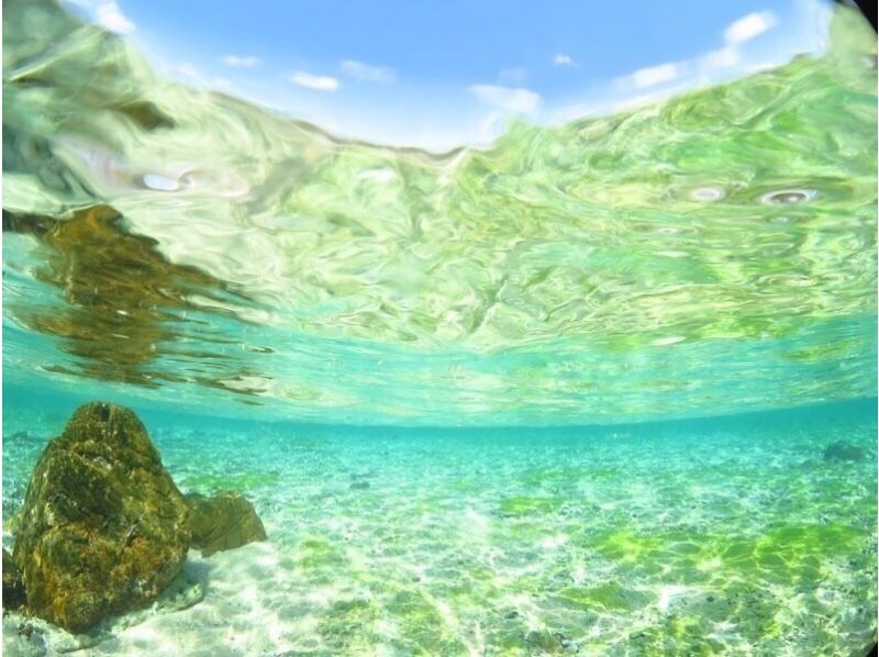 【奄美大島・送迎無料】【大人気！ウミガメ・熱帯魚の贅沢シュノーケリング】〈遭遇率100％継続中！〉１グループ限定貸切！の紹介画像