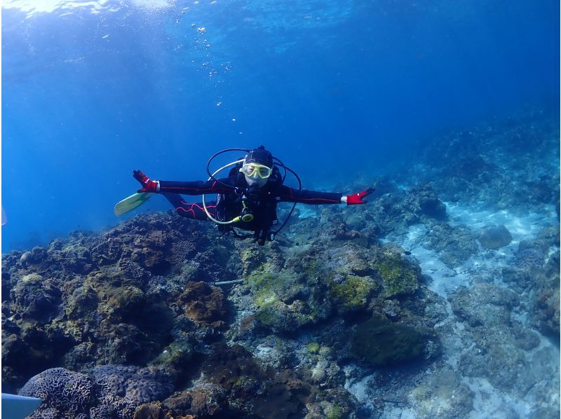 [ยูกุชิมะประสบการณ์ดำน้ำ] 1 คอร์สดำน้ำยาว [เช้า / บ่าย]の紹介画像