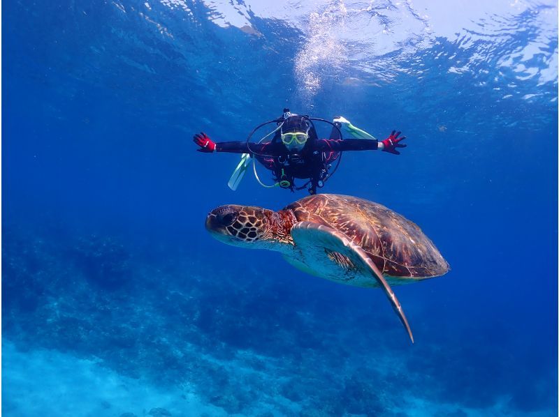 [ยูกุชิมะประสบการณ์ดำน้ำ] 1 คอร์สดำน้ำยาว [เช้า / บ่าย]の紹介画像