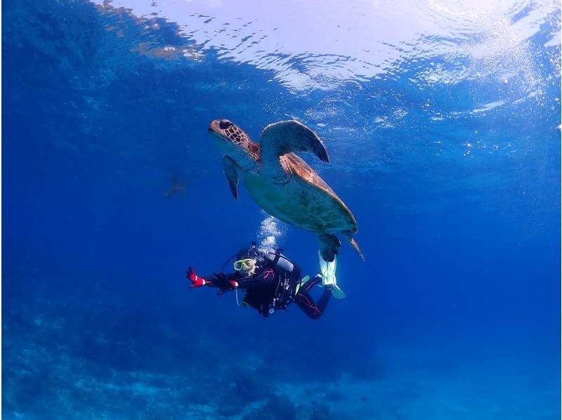 [ยูกุชิมะประสบการณ์ดำน้ำ] 1 คอร์สดำน้ำยาว [เช้า / บ่าย]の紹介画像