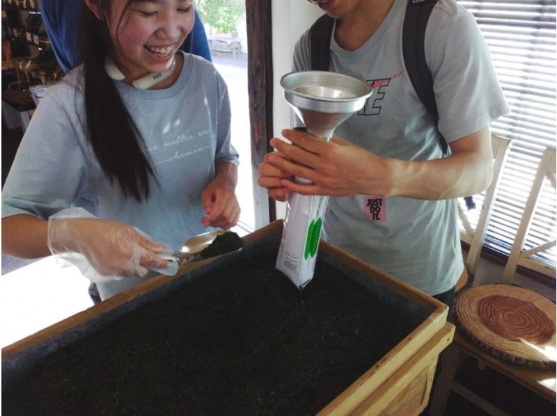 【静岡・富士】お茶摘み体験・茶畑散歩・茶工場見学そして小さなお茶会もあります！の紹介画像