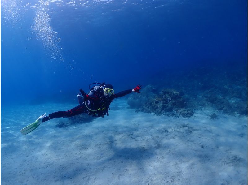 【屋久島・体験ダイビング】初心者専門店｜当店人気No.1｜練習時間無制限&times;2ダイブで最高峰の感動｜プレミアム2ダイブ｜専用施設＆温水シャワーの紹介画像