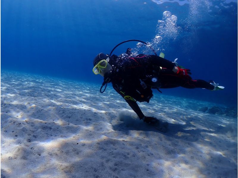 [Yakushima Experience Diving] 2 dive course [morning / afternoon]の紹介画像
