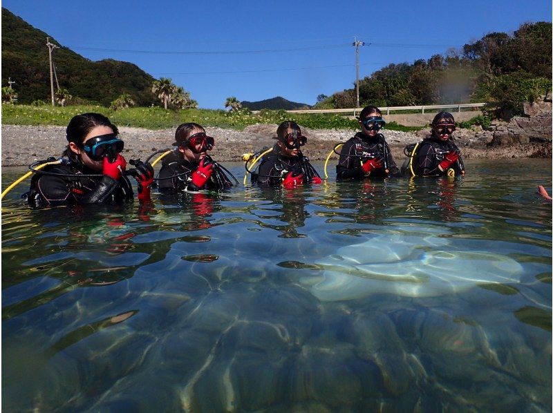[Yakushima Experience Diving] 2 dive course [morning / afternoon]の紹介画像