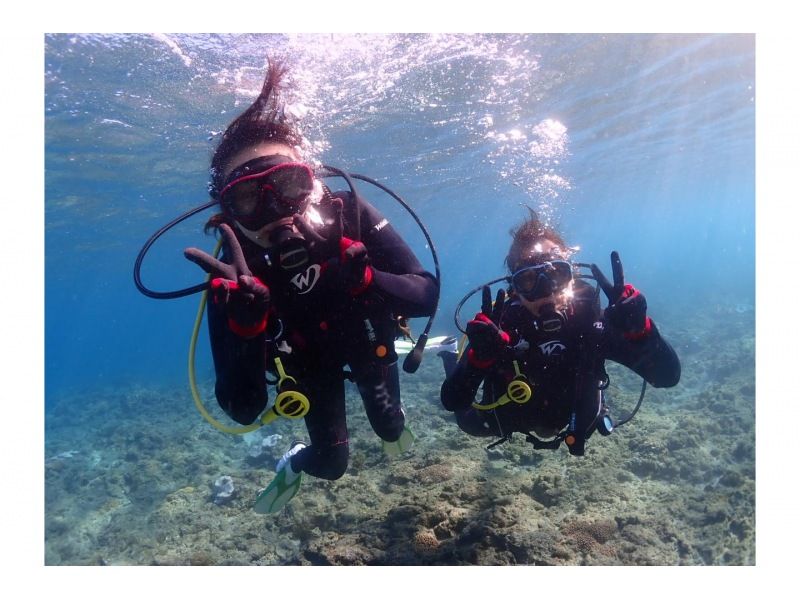 【屋久島・体験ダイビング】初心者専門店｜当店人気No.1｜練習時間無制限&times;2ダイブで最高峰の感動｜プレミアム2ダイブ｜専用施設＆温水シャワーの紹介画像