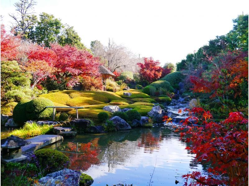 [京都花园]京都妙心寺太藏院参观和“Hanagokoro”的午餐计划（指定日期）の紹介画像