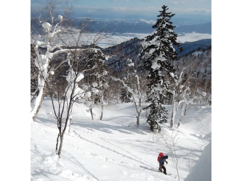 [Hokkaido Furano] Backcountry guided tour to "Secret Mountain"の紹介画像