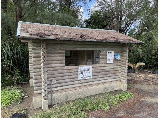 【北コース・奄美大島観光名所ツアー(180分)】【地域クーポン対応】※口コミ投稿で写真の無料プレゼントあり※ 【北コース・奄美大島観光名所ツアー(180分)】【地域クーポン対応】※口コミ投稿で写真の無料プレゼントあり※